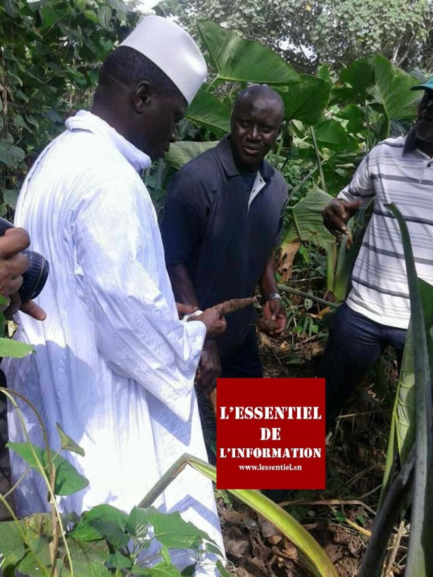 Photo exclusives: La nouvelle vie de Yahya Jammeh à Malabo Photo exclusives: La nouvelle vie de Yahya Jammeh à Malabo