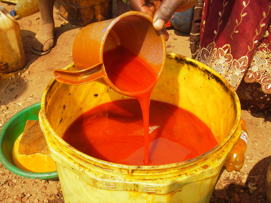 Le Groupe ivoirien Sifca va poursuivre ses exportations d’huile de palme au Sénégal