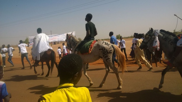 Visite du président Macky Sall: liesse populaire à Séno-Palel avec le Dr Daff