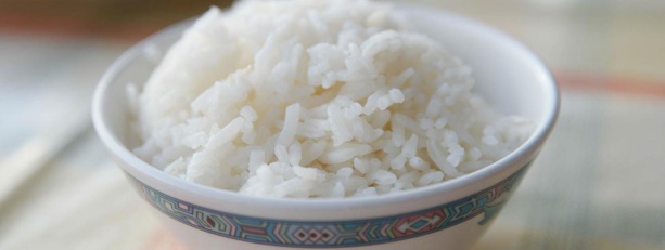 Dr Fallou Sarr : «Du plastique ne peut pas donner du riz»