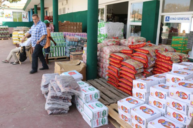 Gass Ezzedine vient en aide aux nécessiteux Gass Ezzedine vient en aide aux nécessiteux