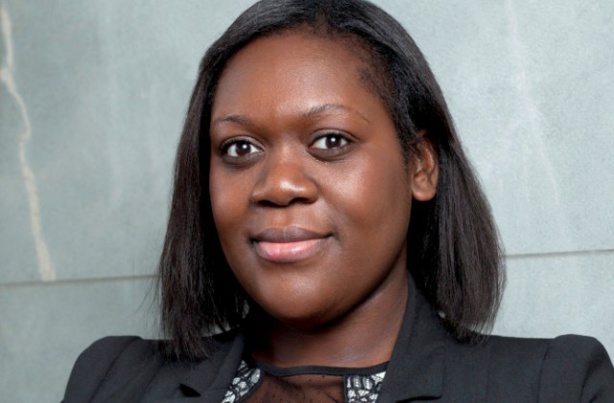 Portrait de 9 députés français issus de l’immigration africaine Portrait de 9 députés français issus de l’immigration africaine