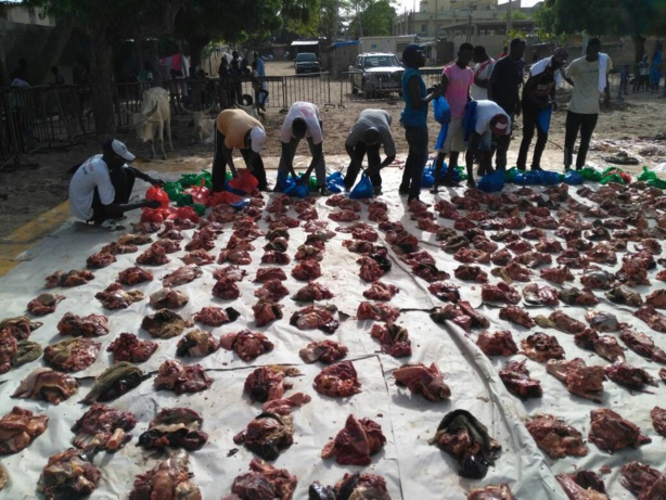Tamxarite à Tivaouane Diaksao : Abou Abel Thiam immole 20 bœufs et distribue 700 repas Tamxarite à Tivaouane Diaksao : Abou Abel Thiam immole 20 bœufs et distribue 700 repas