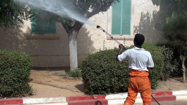 Des nouveaux cas de dingue découvert au Sénégal