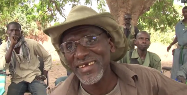 Salif Sadio défie Macky Sall : «Je vais continuer à délivrer des permis de coupe de bois»