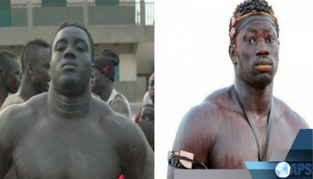 Lutte/ Choc des meilleurs espoirs ce dimanche : Boy Niang 2 vs Sa Thiès Lutte/ Choc des meilleurs espoirs ce dimanche : Boy Niang 2 vs Sa Thiès