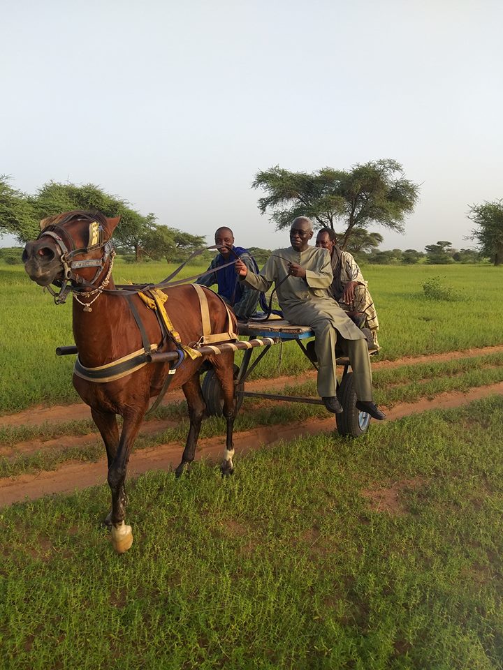 Le président du PEM Habib Sy collecte des signature au fin fond du Djolof