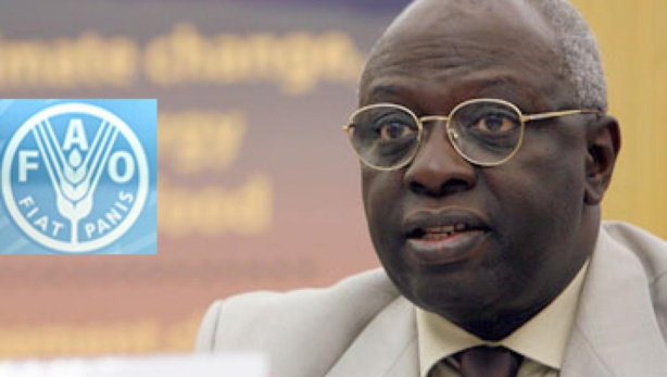 Jacques Diouf n'est plus Jacques Diouf n'est plus