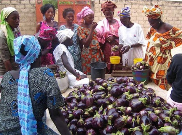 Diender : La vendeuse de légumes contamine 6 personnes et met 300 en quarantaine, le village de Thor confiné