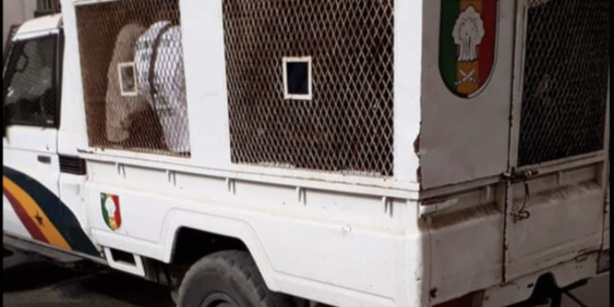 Plusieurs membres du mouvement «Nittu Deug» arrêtés par la police Plusieurs membres du mouvement «Nittu Deug» arrêtés par la police