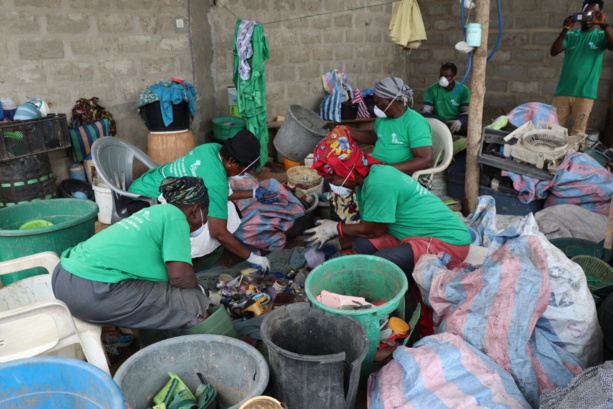 FAO Sénégal : Formation de 34 femmes au respect des normes de qualité sanitaires dans les îles du Saloum FAO Sénégal : Formation de 34 femmes au respect des normes de qualité sanitaires dans les îles du Saloum