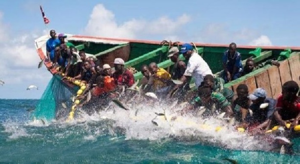 FAO Sénégal : Formation de 45 membres des Comités locaux de pêche artisanale dans les îles du Saloum