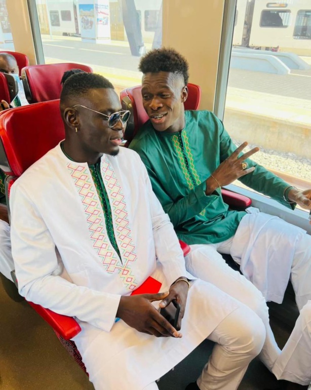 Direction palais : Les lions à bord du TER Direction palais : Les lions à bord du TER