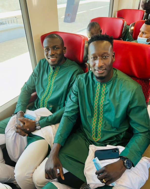 Direction palais : Les lions à bord du TER Direction palais : Les lions à bord du TER