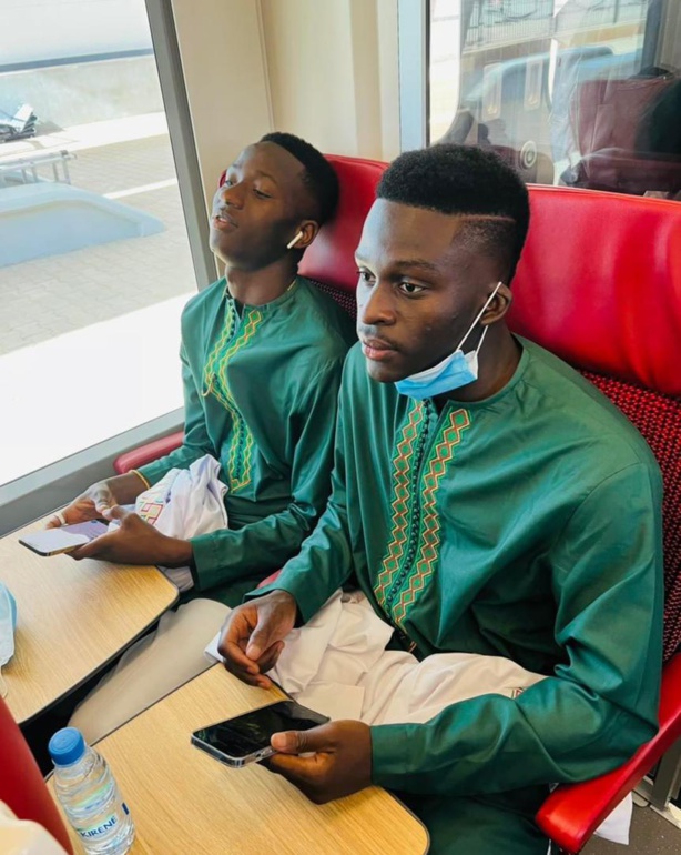 Direction palais : Les lions à bord du TER Direction palais : Les lions à bord du TER