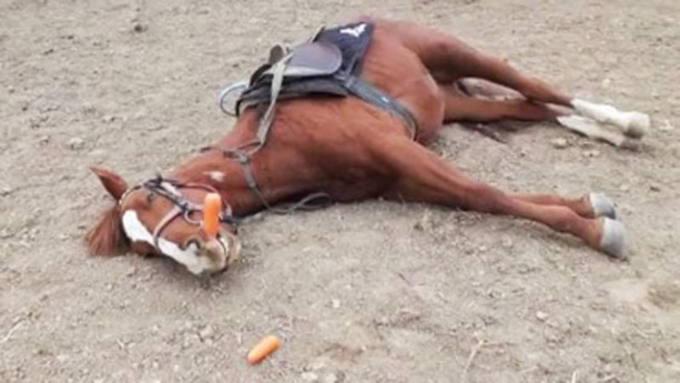 REMPLACER L’APR PAR LE RACHITIQUE « RENFORT » (Par Pape Samba Badji) REMPLACER L’APR PAR LE RACHITIQUE « RENFORT » (Par Pape Samba Badji)