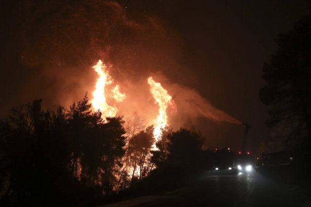 Urgent : Parc Lambaye et salle de vente en flammes