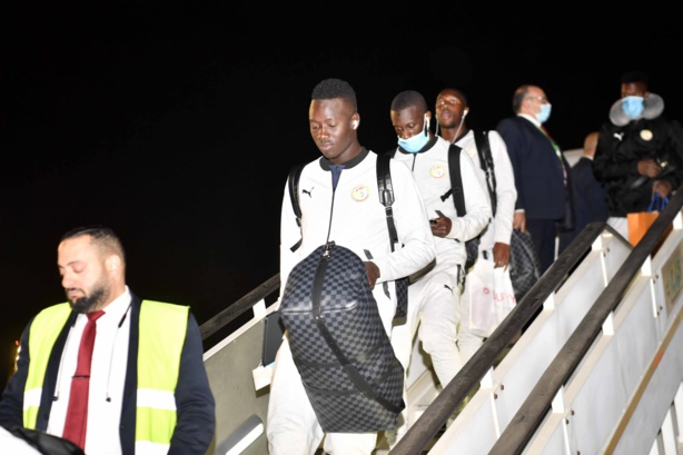Arrivée des Lions au Caire Arrivée des Lions au Caire