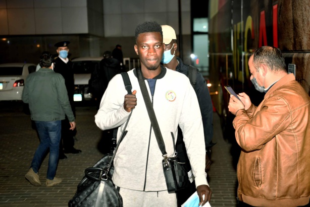 Arrivée des Lions au Caire Arrivée des Lions au Caire