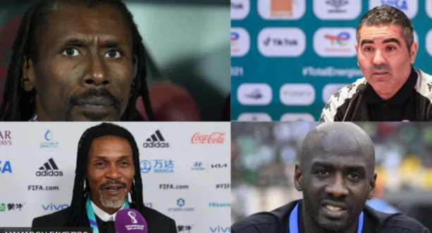Qatar 2022 : Pour la première fois, quatre sélectionneurs locaux mènent les équipes africaines au Mondial Qatar 2022 : Pour la première fois, quatre sélectionneurs locaux mènent les équipes africaines au Mondial