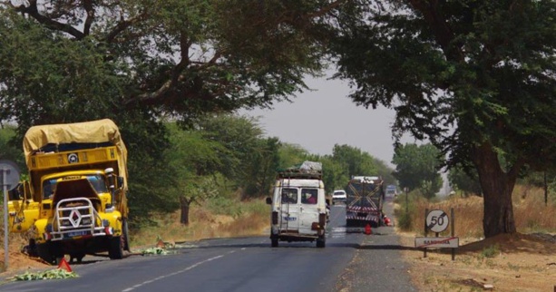 Transport : Le nouveau code de la route adopté, le permis à point institué Transport : Le nouveau code de la route adopté, le permis à point institué