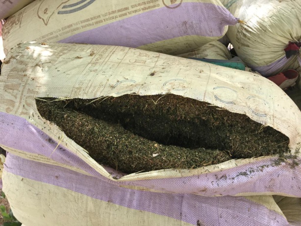 Armée : Images exclusives de la destruction des bases du chef rebelle Paul Aloukassine