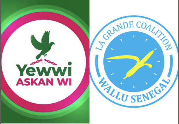 Alliance YAW - WALLU : Découvrez le mode de déploiement au niveau des départements du Sénégal