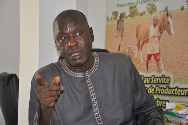 ​Dépôt d’une liste non paritaire de YAW à Dakar : Saliou Sarr au banc des accusés