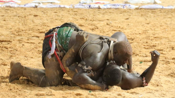 Lutte : Balla Gaye 2 bat Gris Bordeaux Lutte : Balla Gaye 2 bat Gris Bordeaux