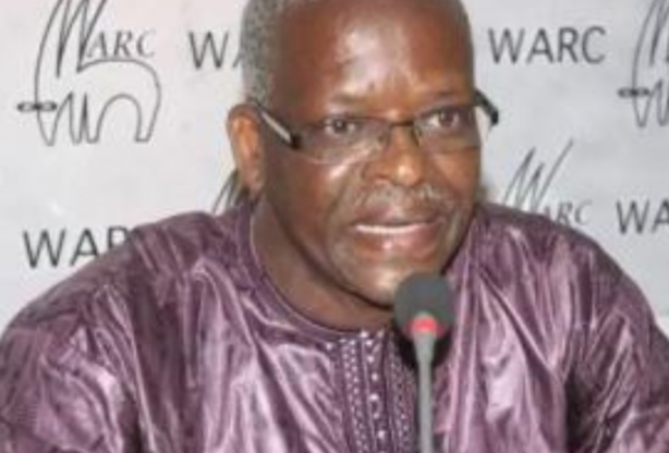 Sénégal : de la rue aux urnes ou radioscopie des législatives de juillet 2022 (Par Alpha Amadou SY) Sénégal : de la rue aux urnes ou radioscopie des législatives de juillet 2022 (Par Alpha Amadou SY)