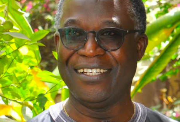 Sénégal, d’une crise à l’autre (Par Babacar Fall) Sénégal, d’une crise à l’autre (Par Babacar Fall)