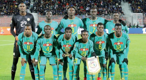 Demi finale CHAN : Les Lions face au défi des Baréas Demi finale CHAN : Les Lions face au défi des Baréas