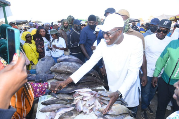Campagne : Khalifa Sall promet de résilier les "accords de pêche injustes" Campagne : Khalifa Sall promet de résilier les "accords de pêche injustes"