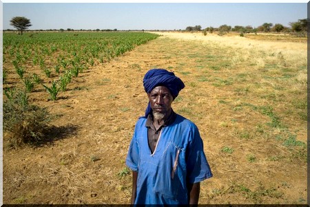 Les villageois sans terre de Mauritanie, obligés d’aller enterrer leurs morts au Sénégal 