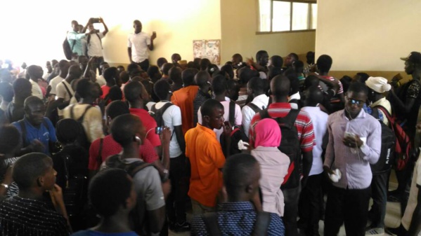 Les étudiants réclament la démission de Babou Diaham