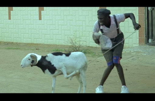 « Mon Mouton et Moi » (Par Ibou Fall)