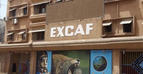 Vente aux enchères : La version du Groupe Excaf