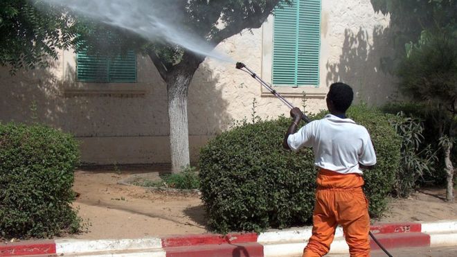 Des nouveaux cas de dingue découvert au Sénégal