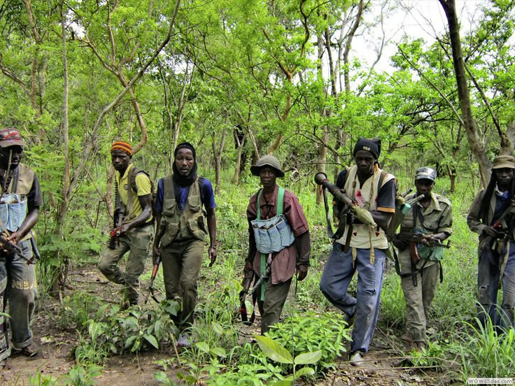 Les fossoyeurs de la paix en Casamance s’activent