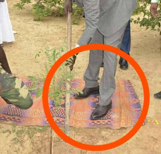 Célébration de la Journée de l’Arbre : Les pieds du ministre de l’Environnement, Abdou Karim Sall, sur la natte, enflamment la webosphère