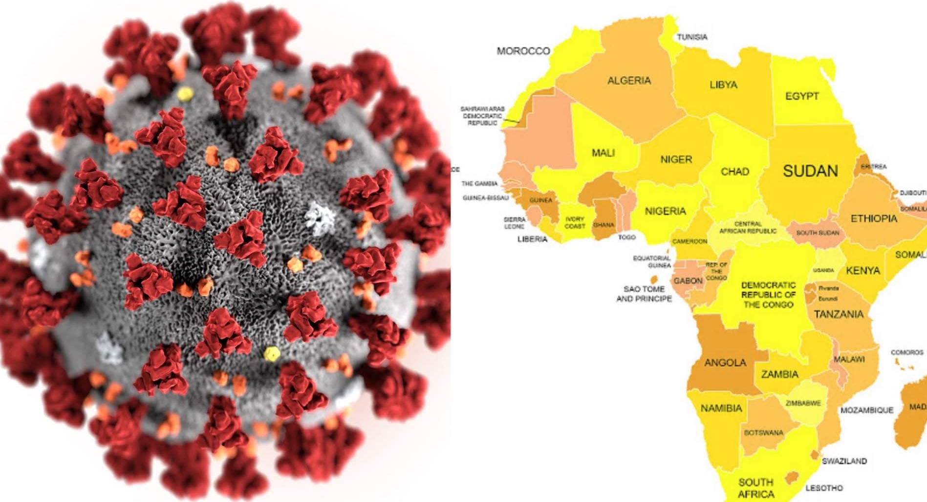 La situation Covid-19 des pays africains ce 12 avril