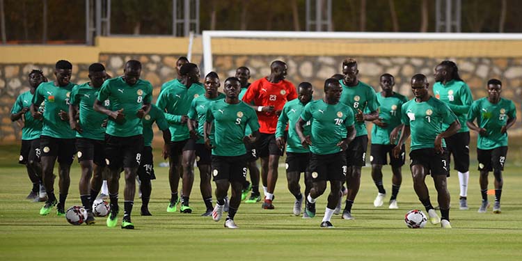 Primes de qualification CAN 2021 : 52 Lions se partagent 186 millions FCFA