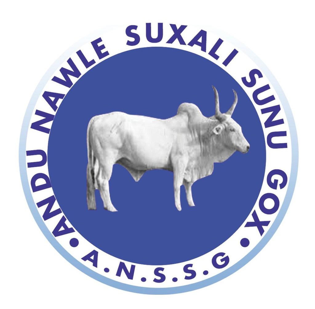 Locales 2022 : Ibrahima  Cissé, le candidat de ‘’And Nawlé Suxali sunu Gox’’ pour la renaissance de Mbacké
