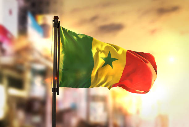 Drame à Tivaouane : Un deuil national de trois jours décrété, à partir de ce jeudi