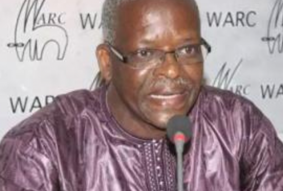 Sénégal : de la rue aux urnes ou radioscopie des législatives de juillet 2022 (Par Alpha Amadou SY)