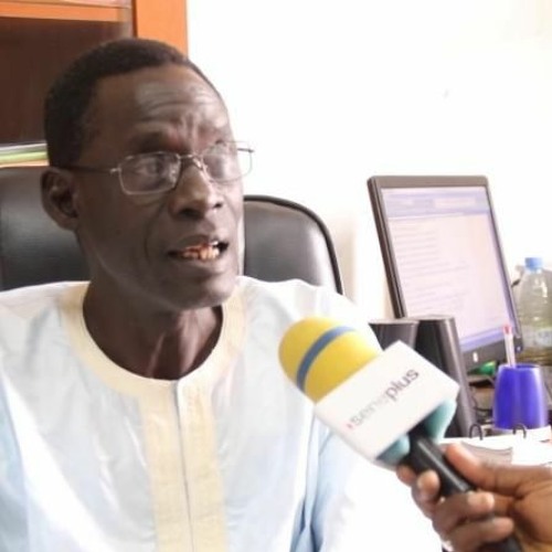 Meissa Babou : « Depuis 2012, aucun homme du pouvoir épinglé n’a fait l’objet de poursuites»