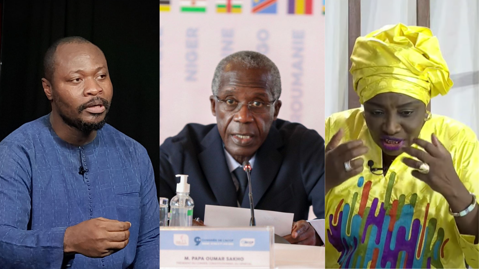 Question d'actualité : Mimi et Guy saisissent le Conseil Constitutionnel pour arbitrage