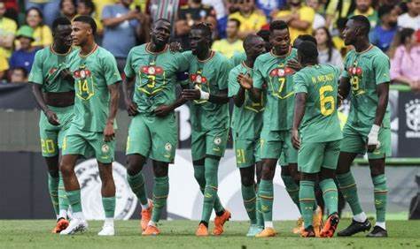 Amical Sénégal vs Niger : Les Lions gagnent à l’arraché !