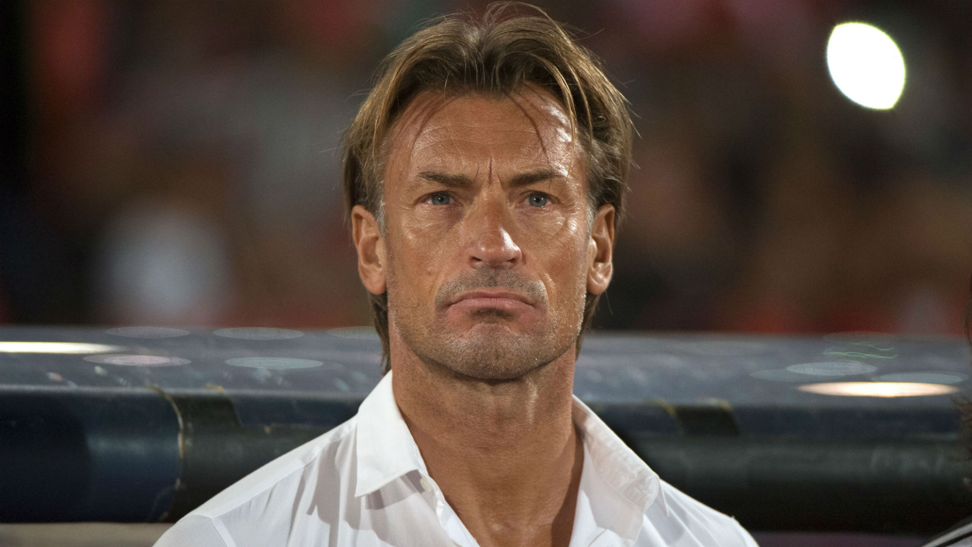 Inédit : La Côte d’ivoire veut Hervé Renard en prêt pour finir la Can