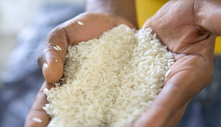 ​Des taux préoccupants d'aflatoxines décelés dans du riz consommé à Dakar